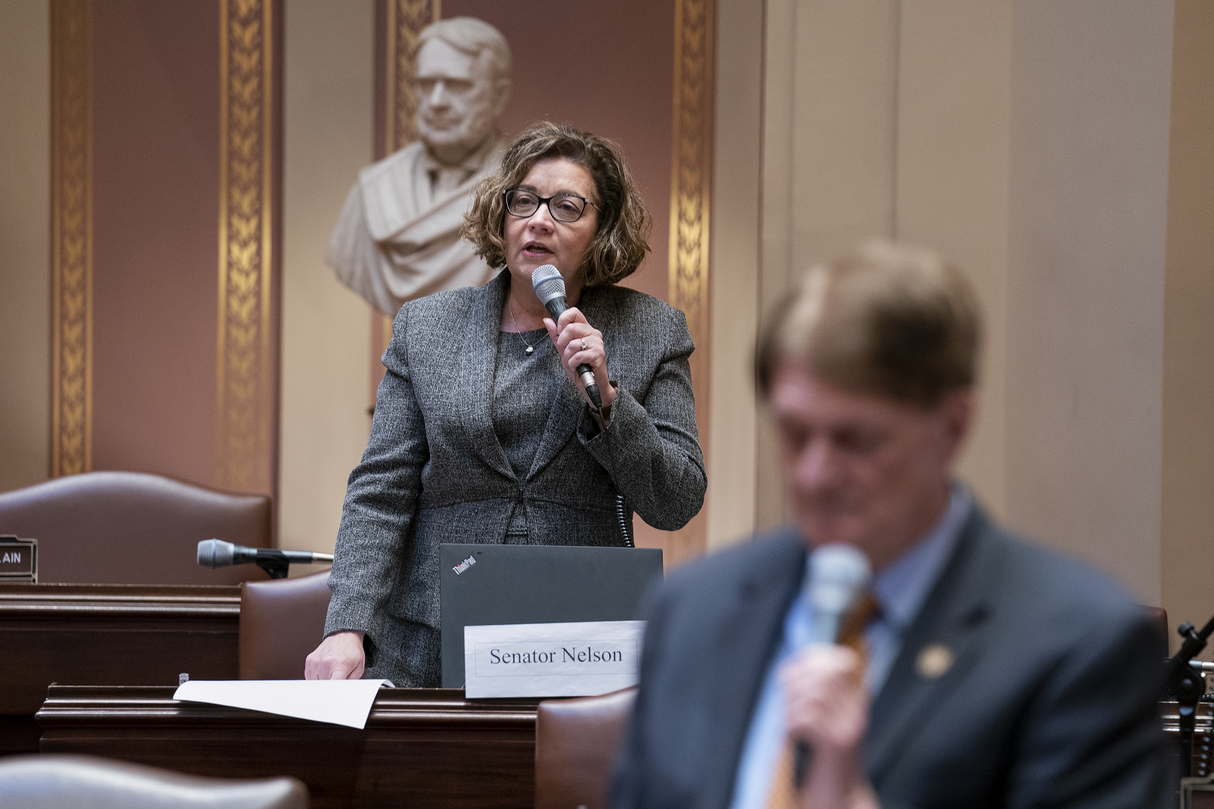 Senator Carla Nelson